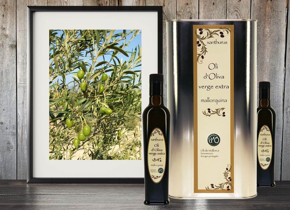 xanthurus Olive Oil virgen extra